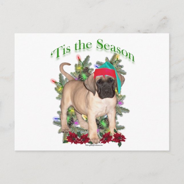 Mastiff 2 ‘Tis Holiday Postcard (Front)
