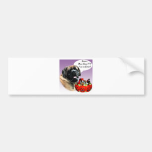 Mastiff (apricot) HalloweenCandy Bumper Sticker
