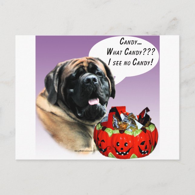 Mastiff (apricot) HalloweenCandy Postcard (Front)