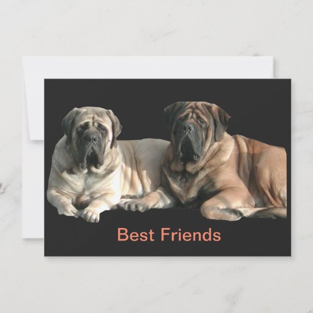 Mastiff Best Friends Invitation (Front)