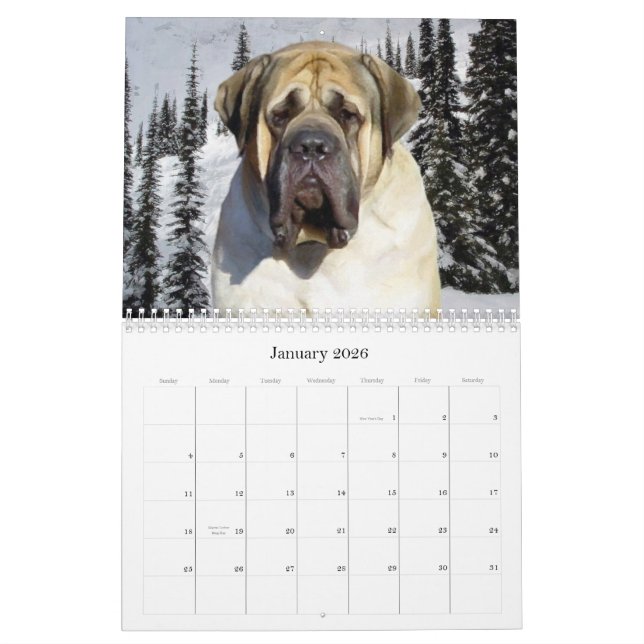 Mastiff Calendar (Jan 2026)