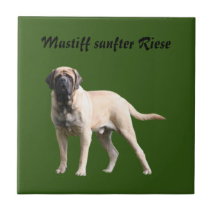 Mastiff ceramic tile
