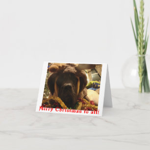 Mastiff Christmas Card