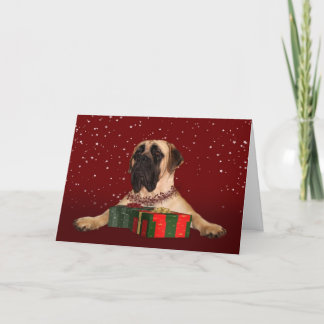 Mastiff Christmas Holiday Card