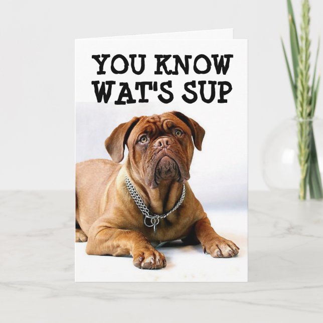 MASTIFF DOG BIRTHDAY FUNNY CARD (Front)