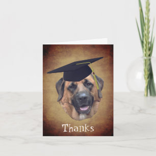 Mastiff Dog In Graduation Cap Thank You Card