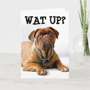 MASTIFF DOG THINKING OF YOU FUNNY CARD