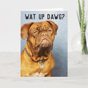 MASTIFF DOG THINKING OF YOU FUNNY CARD
