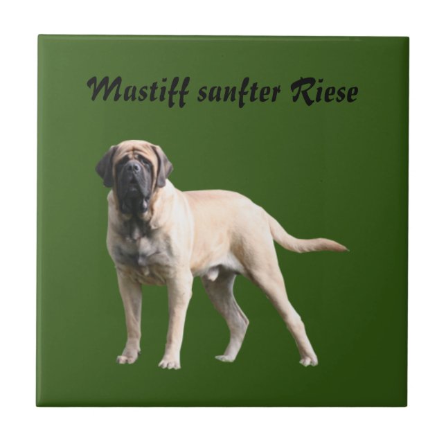Mastiff English dogge Tile (Front)