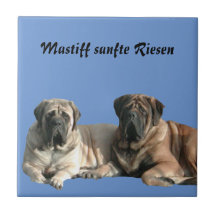 Mastiff English dogge