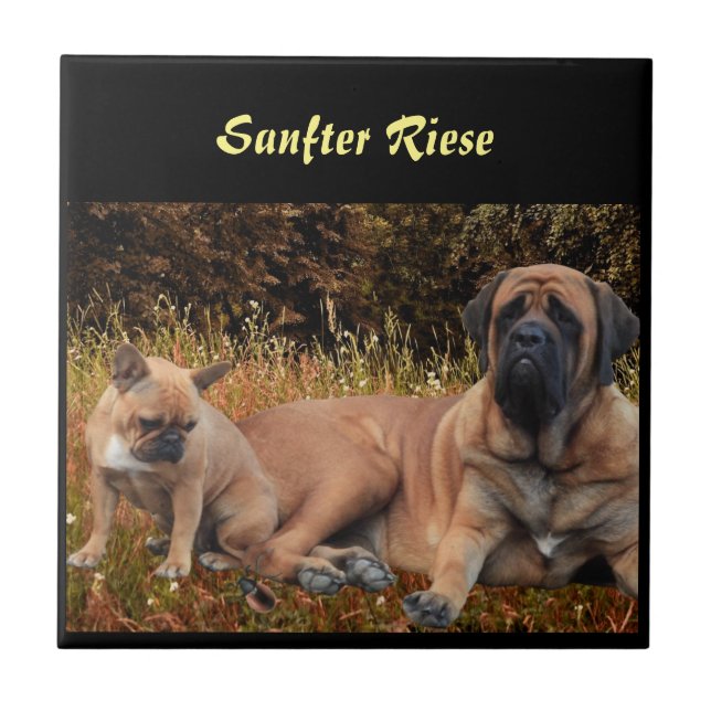 Mastiff English dogge Tile (Front)