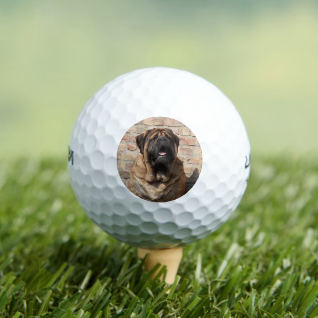 Mastiff English Mastiff Father's Day  Golf Balls (Insitu Tee)