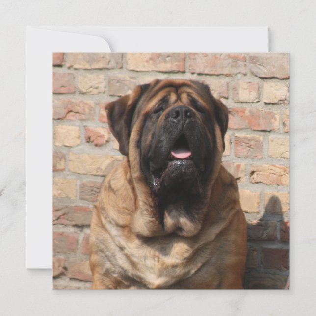 Mastiff English Mastiff Father's Day Invitation (Front)