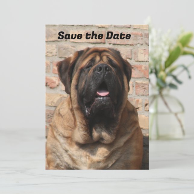 Mastiff English Mastiff Father's Day  Invitation (Standing Front)