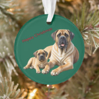 Mastiff English Mastiffs Christmas