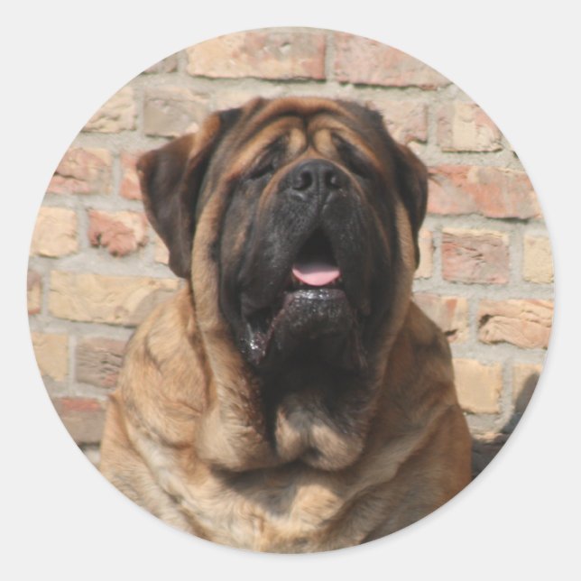 Mastiff Father's Day Best Friends  Classic Round Sticker (Front)