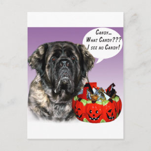 Mastiff (fluffy) Halloween Candy Postcard