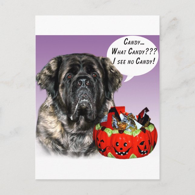 Mastiff (fluffy) Halloween Candy Postcard (Front)