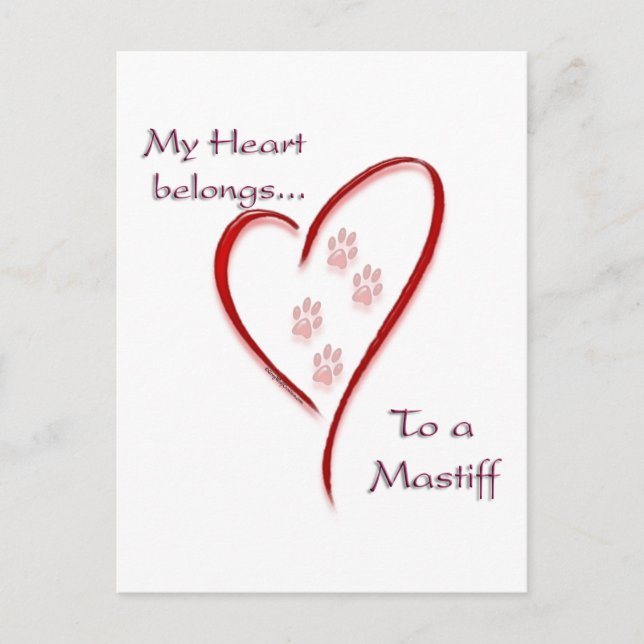 Mastiff Heart Belongs Postcard (Front)