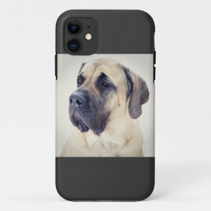 Mastiff iPhone5 Case