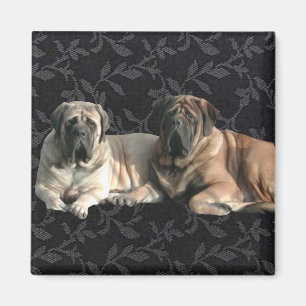 Mastiff Magnet