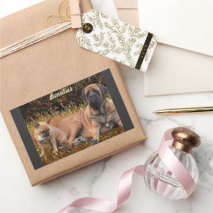 Mastiff mit französischer Bulldogge Rectangular Sticker