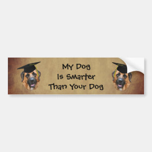 Mastiff My Dog Is Smarter Than Funny Bumper Sticker
