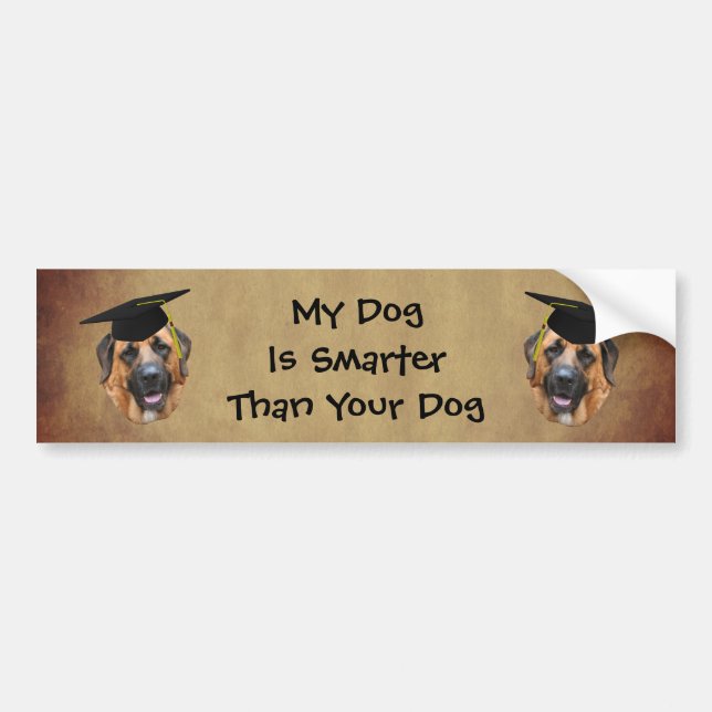 Mastiff My Dog Is Smarter Than Funny  Bumper Sticker (Front)