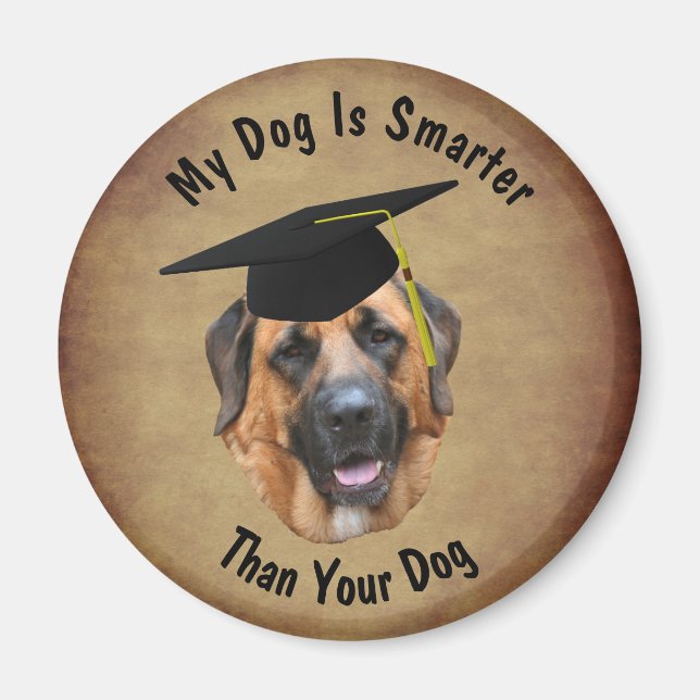 Mastiff My Dog Is Smarter Than Your Dog Funny Magnet (Front)