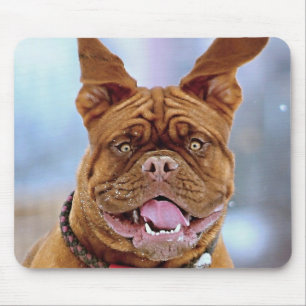 Mastiff Plus Mouse Mat