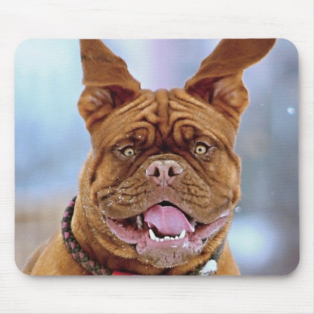Mastiff Plus Mouse Mat (Front)