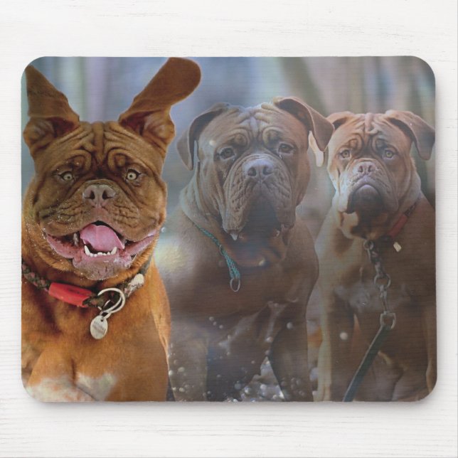 Mastiff Plus Mouse Mat (Front)