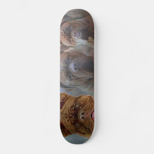 Mastiff Plus Skateboard
