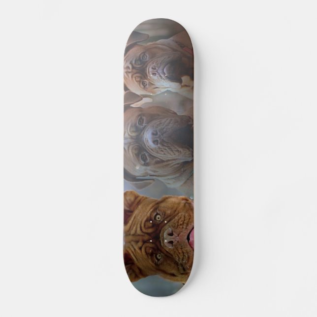 Mastiff Plus Skateboard (Front)