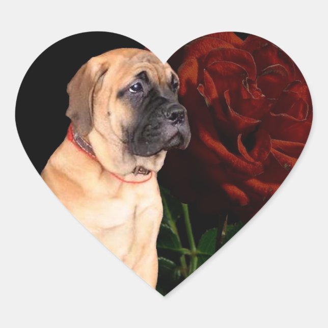 Mastiff puppy and rose heart stickers (Front)