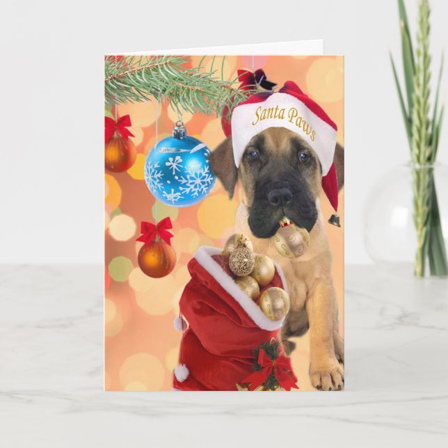 Mastiff Puppy Merry Christmas Holiday Card (Front)