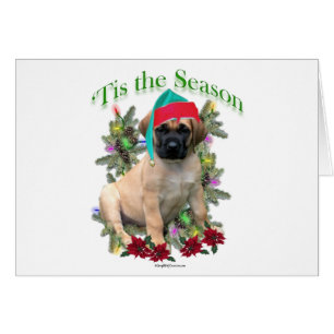 Mastiff ‘Tis