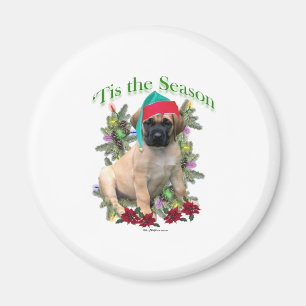 Mastiff ‘Tis Magnet