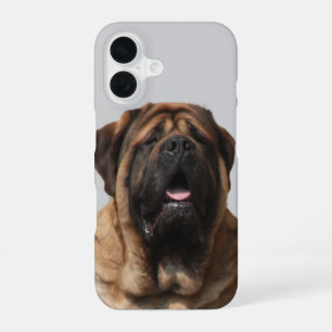 Mastiff Vacation English Mastiff iPhone 16 Case