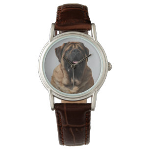 Mastiff Vacation English Mastiff Watch