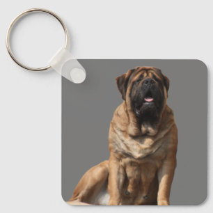 Mastiff Vatertag Best Friends Key Ring
