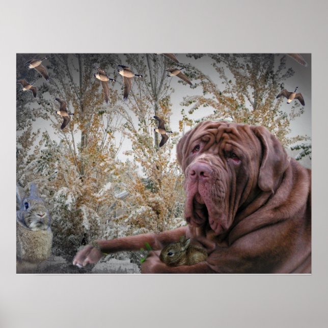 Mastiff with small Rabbit Poster (Front)