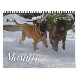 Mastiffs Calendar