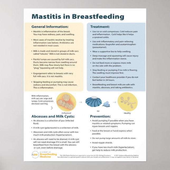 Mastitis in Breastfeeding Poster (English) (Front)