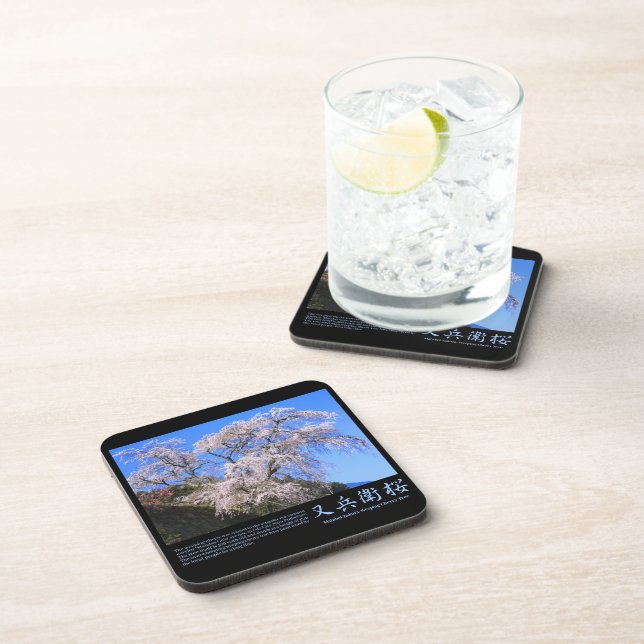 Matabei-Zakura Weeping Cherry [Plastic Coaster] Coaster (Right Side)