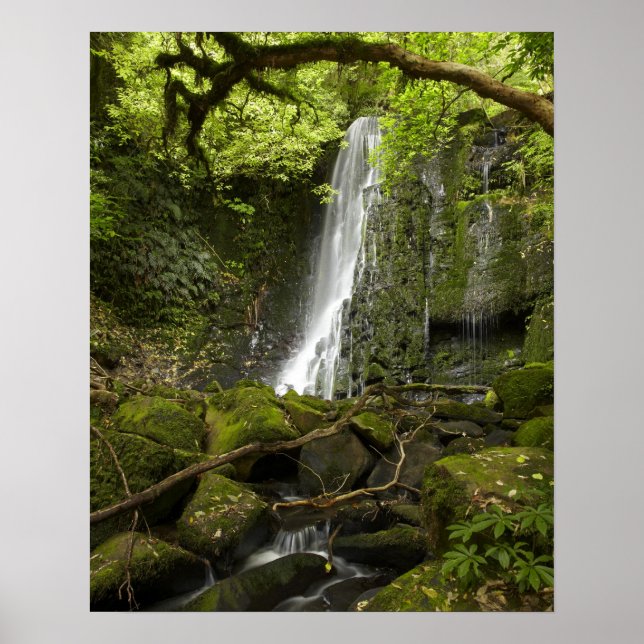 Matai Falls, Catlins, South Otago Poster (Front)
