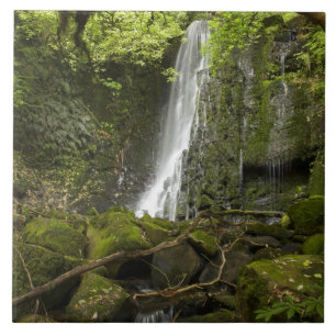 Matai Falls, Catlins, South Otago Tile