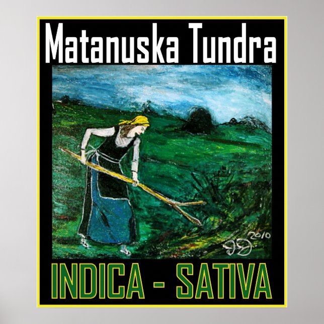 MATANUSKA TUNDRA INDICA SATIVA POSTER (Front)