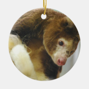 Matchies Tree Kangaroo  Ornament