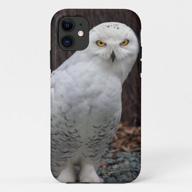 Matching Slippers iPhone 5 Case-Mate Case (Back)